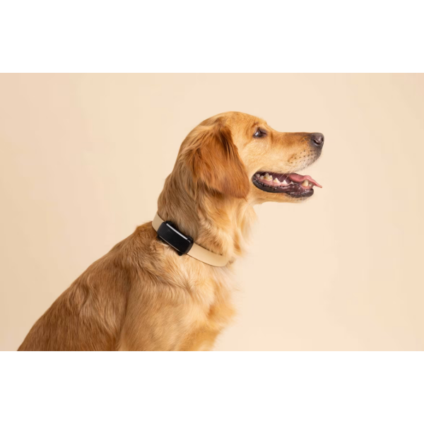 TRACTIVE GPS sledilnik za pse